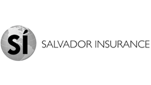 Salvador Insurance Agency logo.